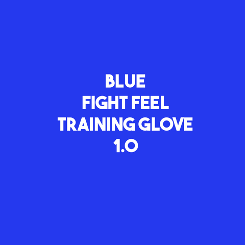 Blue Fight Feel - Training Glove 1.0
